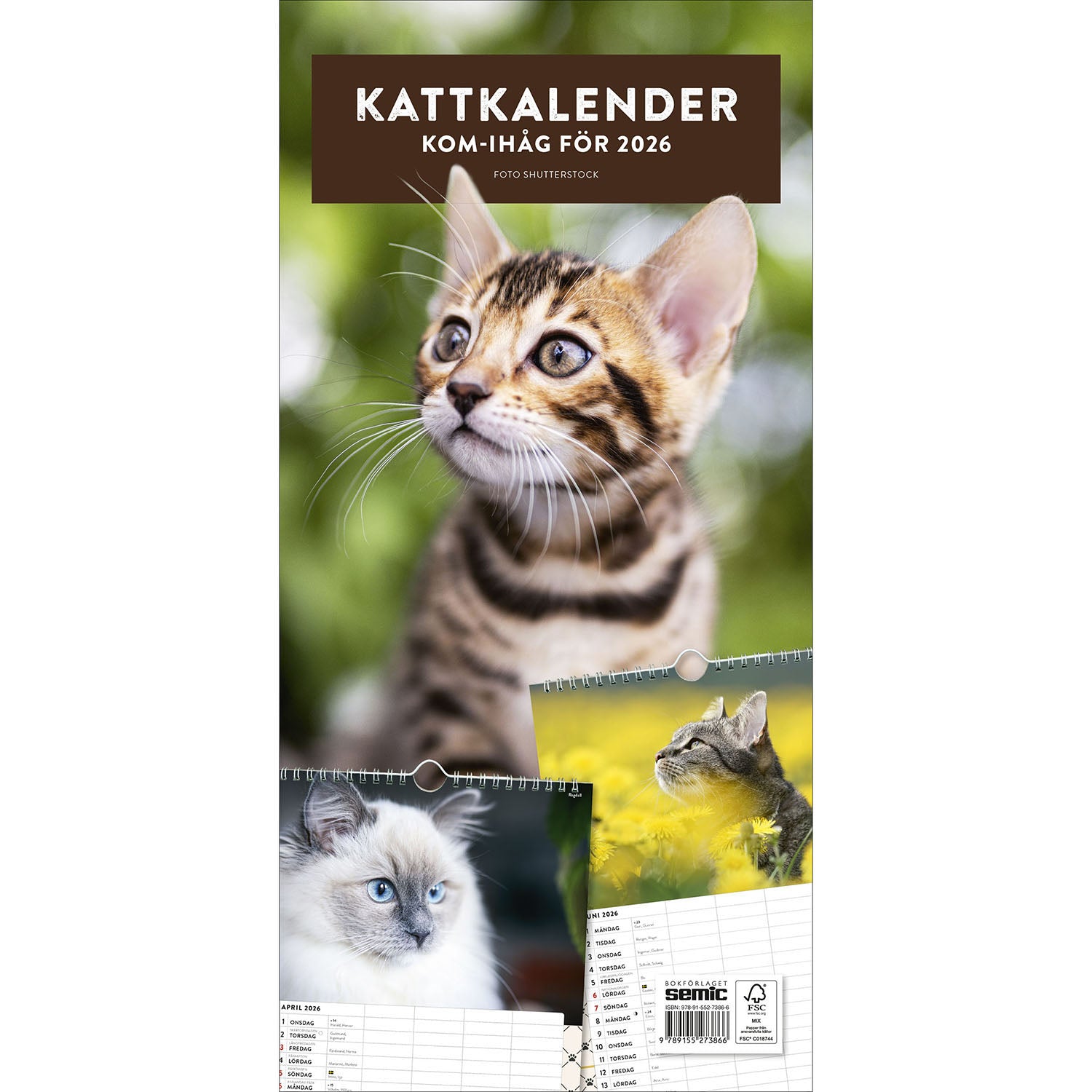 BOKFÖRLAGET SEMIC Kattkalender 2026